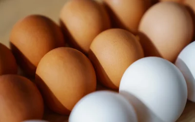 Cât timp rezistă ouăle fierte la temperatura camerei