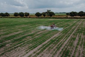 Ce subvenții agricole sunt disponibile pentru tinerii fermieri și cum aplici?