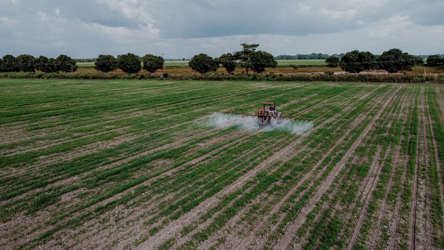 Ce subvenții agricole sunt disponibile pentru tinerii fermieri și cum aplici?